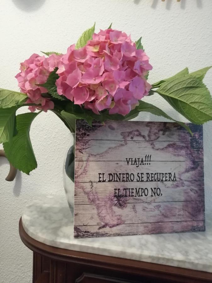 Apartamento Rio Agueera En Guriezo, Next To Castro Urdiales Y Bilbao Adino エクステリア 写真