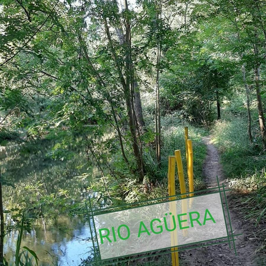Apartamento Rio Agueera En Guriezo, Next To Castro Urdiales Y Bilbao Adino エクステリア 写真