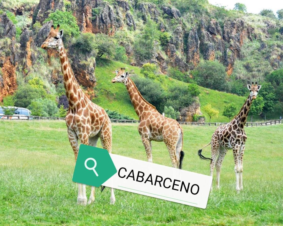 Apartamento Rio Agueera En Guriezo, Next To Castro Urdiales Y Bilbao Adino エクステリア 写真